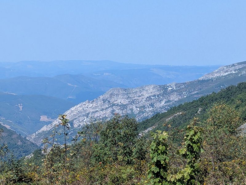 PXL_20260812_110422377.jpg