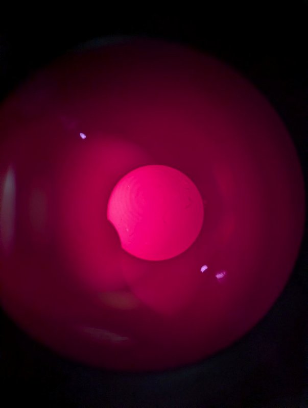 PXL_20260812_173500294.jpg