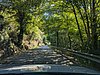 PXL_20260810_093800249.jpg