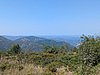 PXL_20260812_110335739.jpg