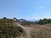 PXL_20260812_110602268.jpg