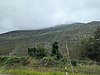 PXL_20260813_124253289.jpg