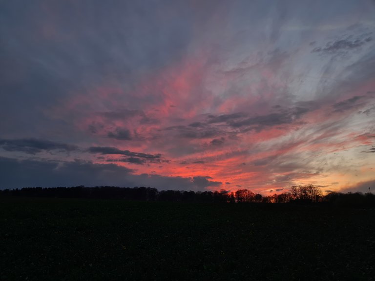 20230421_203243.jpg