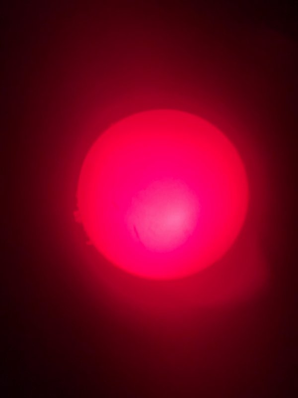 41a.JPG