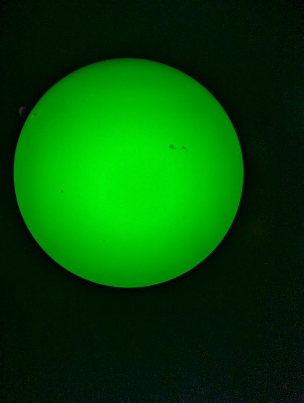 PXL_20260417_091813370.jpg