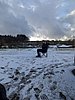 PXL_20251120_130516158.jpg