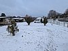 PXL_20251121_075825739.jpg