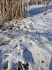 PXL_20251122_083033953.jpg