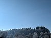 PXL_20251122_092955009.jpg
